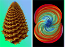 pinecone essence and double guitar spiral
